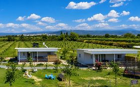 Agroktima Arta - Farm Stay